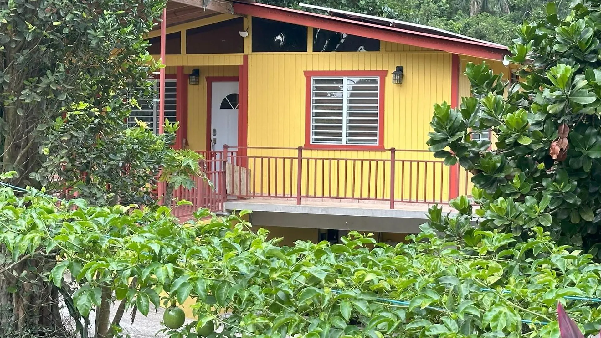La Casita Amarilla En Utuado, Puerto Ricoヴィラ 別荘 Utuado