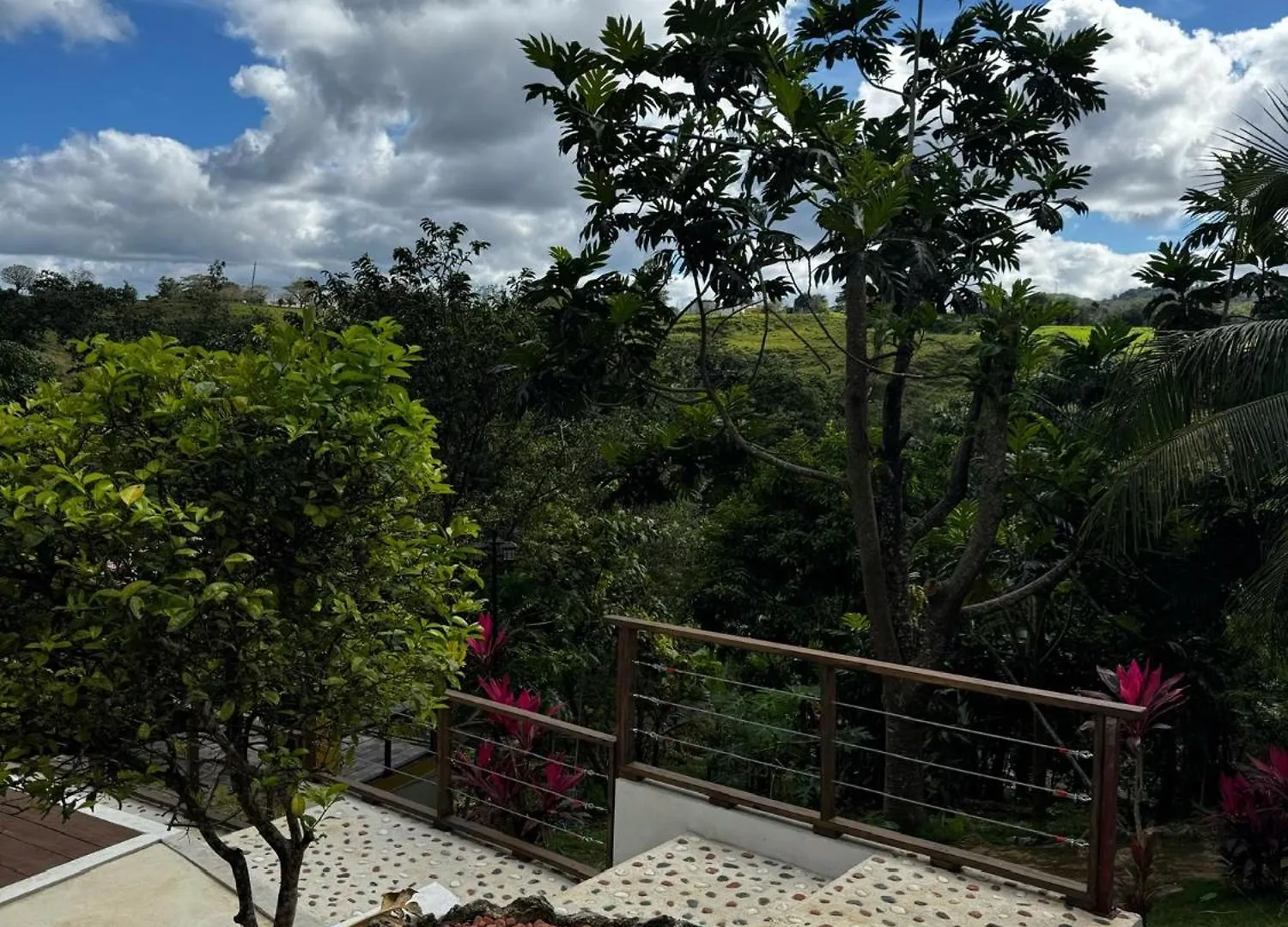 La Casita Amarilla En Utuado, Puerto Rico 빌라
